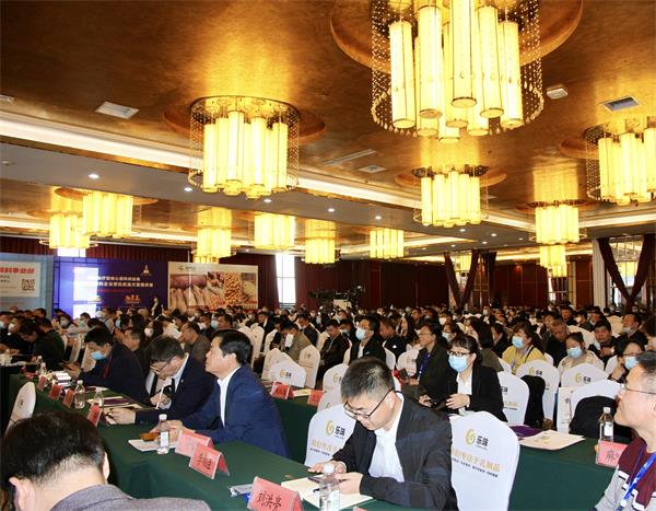 mg不朽情缘(中国)官方网站