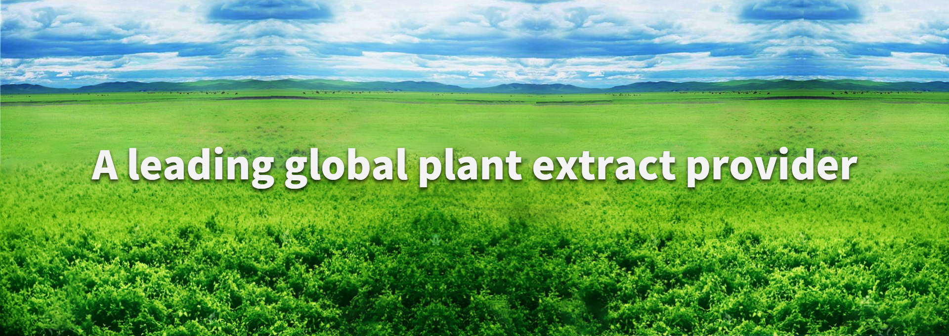 mg不朽情缘(中国)官方网站