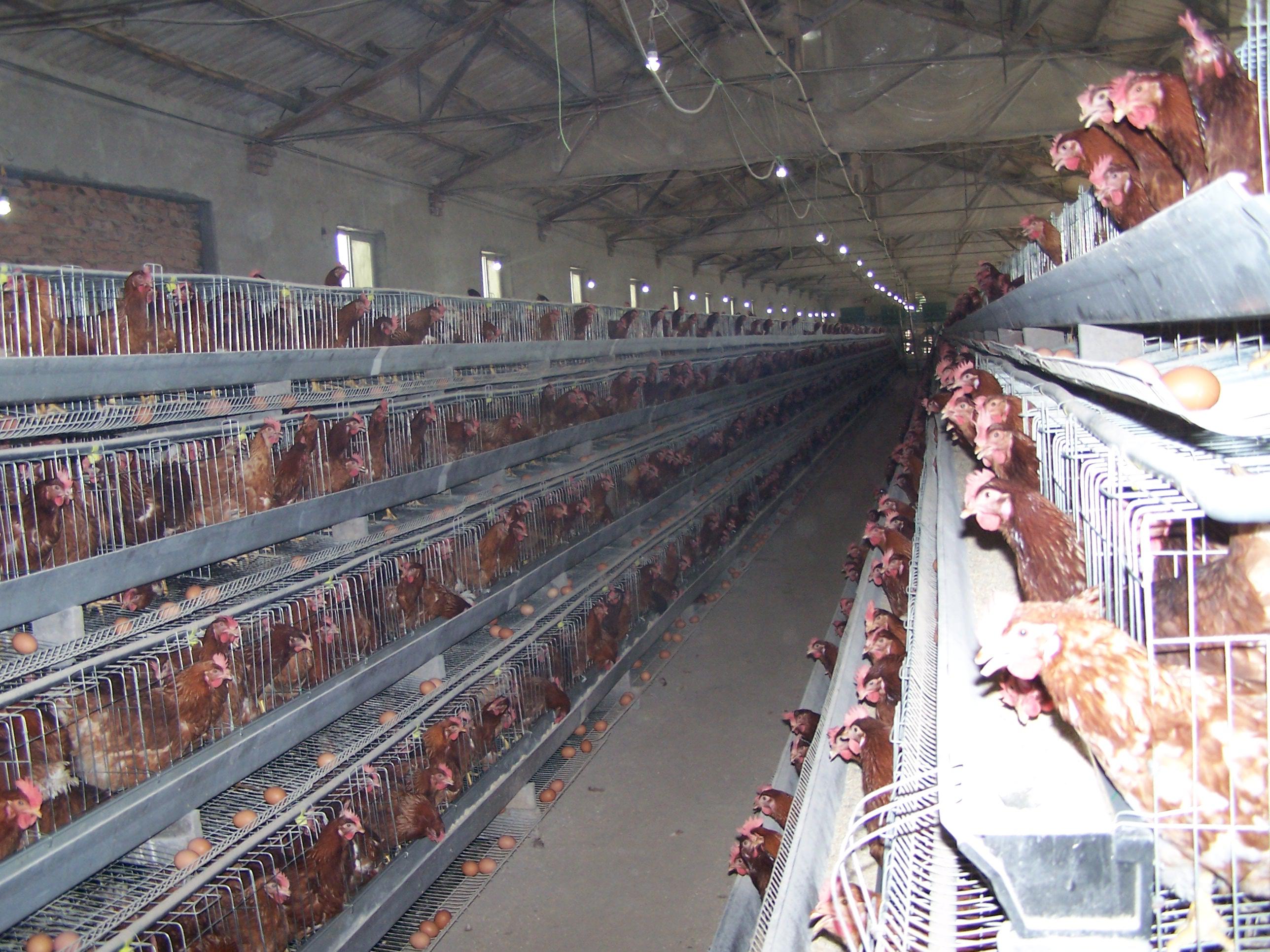 mg不朽情缘(中国)官方网站