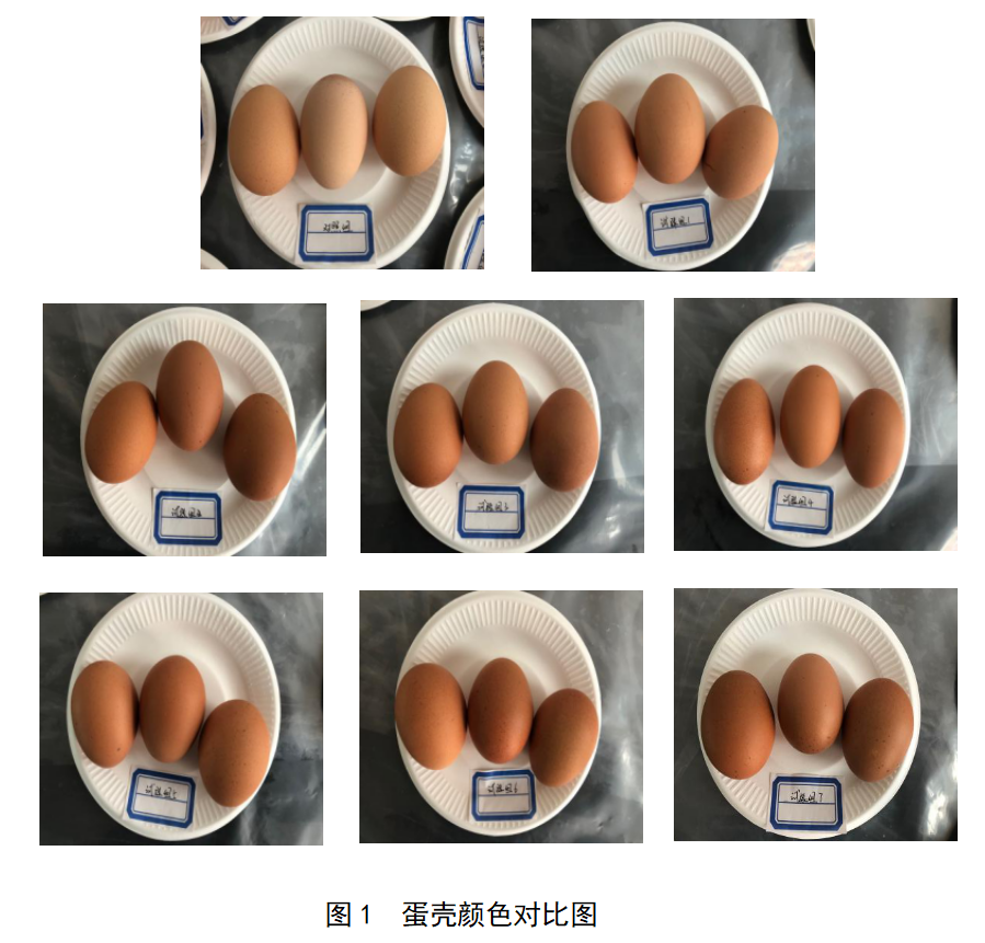 mg不朽情缘(中国)官方网站