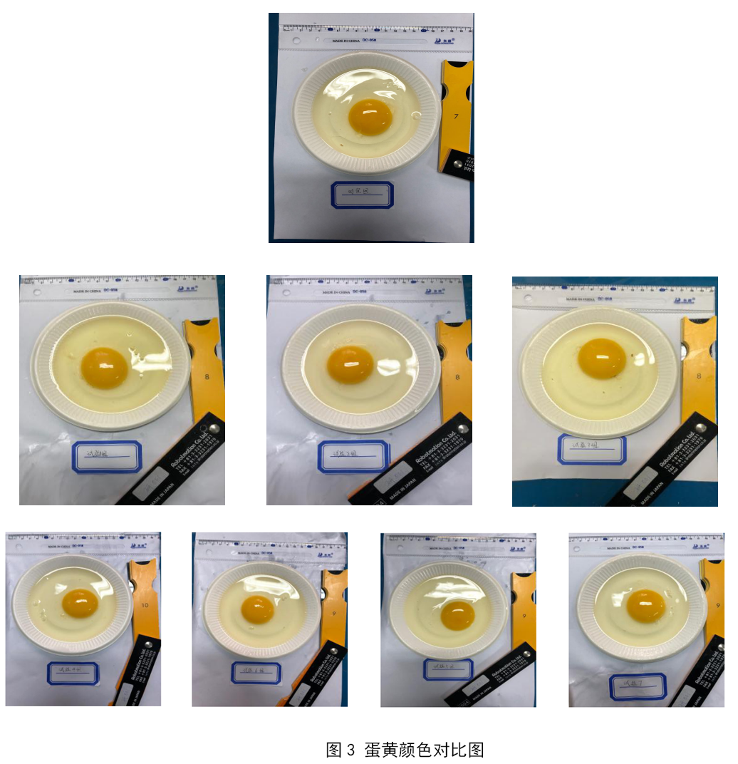 mg不朽情缘(中国)官方网站