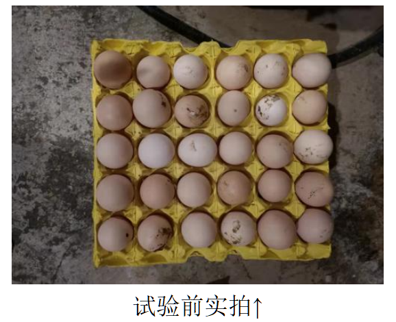 mg不朽情缘(中国)官方网站