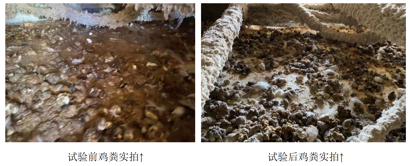 mg不朽情缘(中国)官方网站