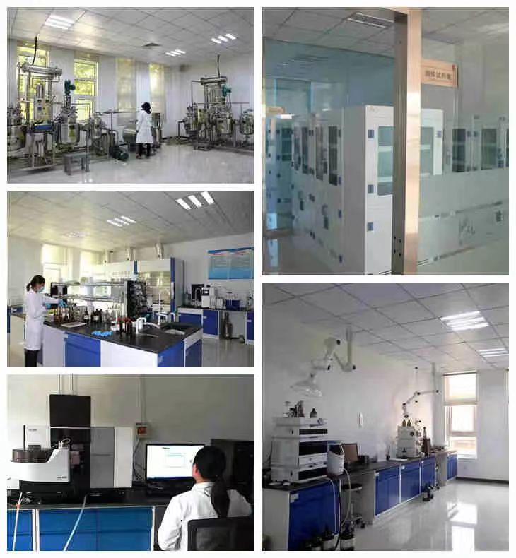 mg不朽情缘(中国)官方网站