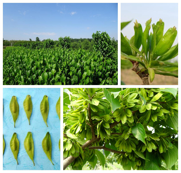 mg不朽情缘(中国)官方网站